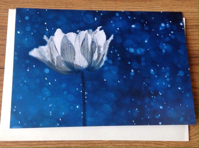 Briefkarte "Magic Blue" (Magda Wasiczek)