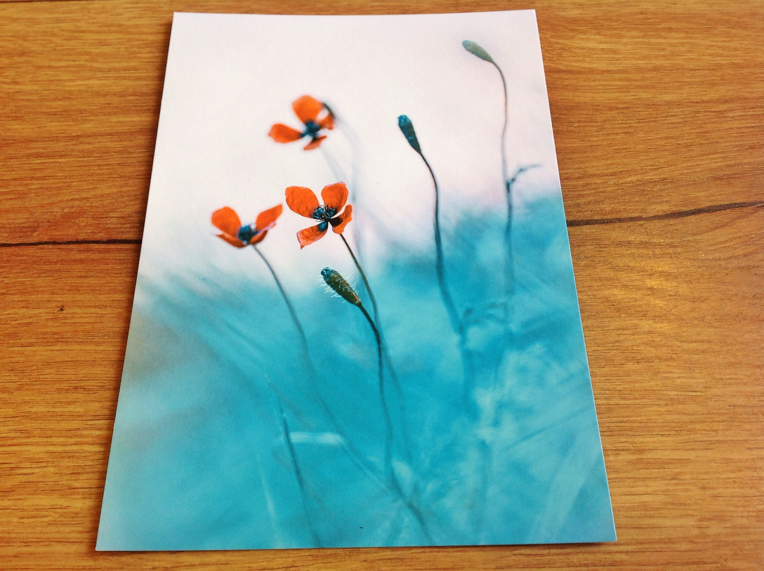 Postkarte Orange Blüten